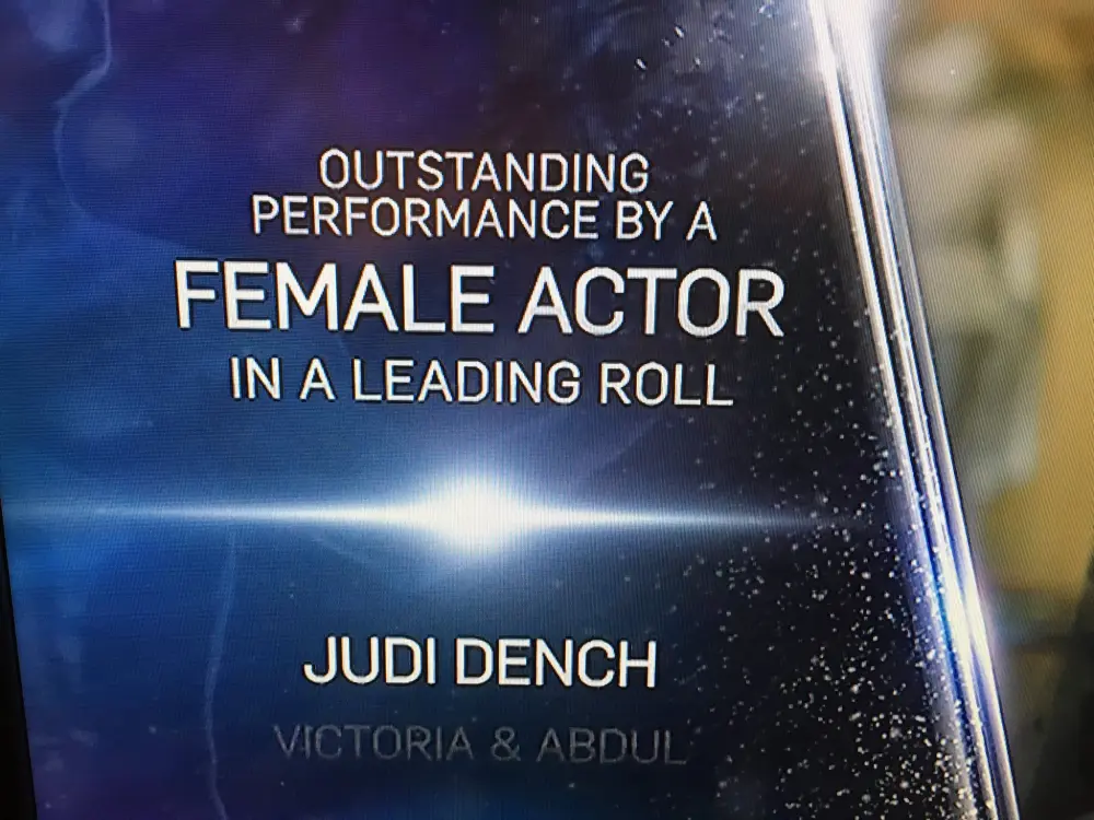 Judi Dench roll