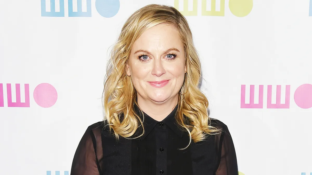 Amy Poehler NRA