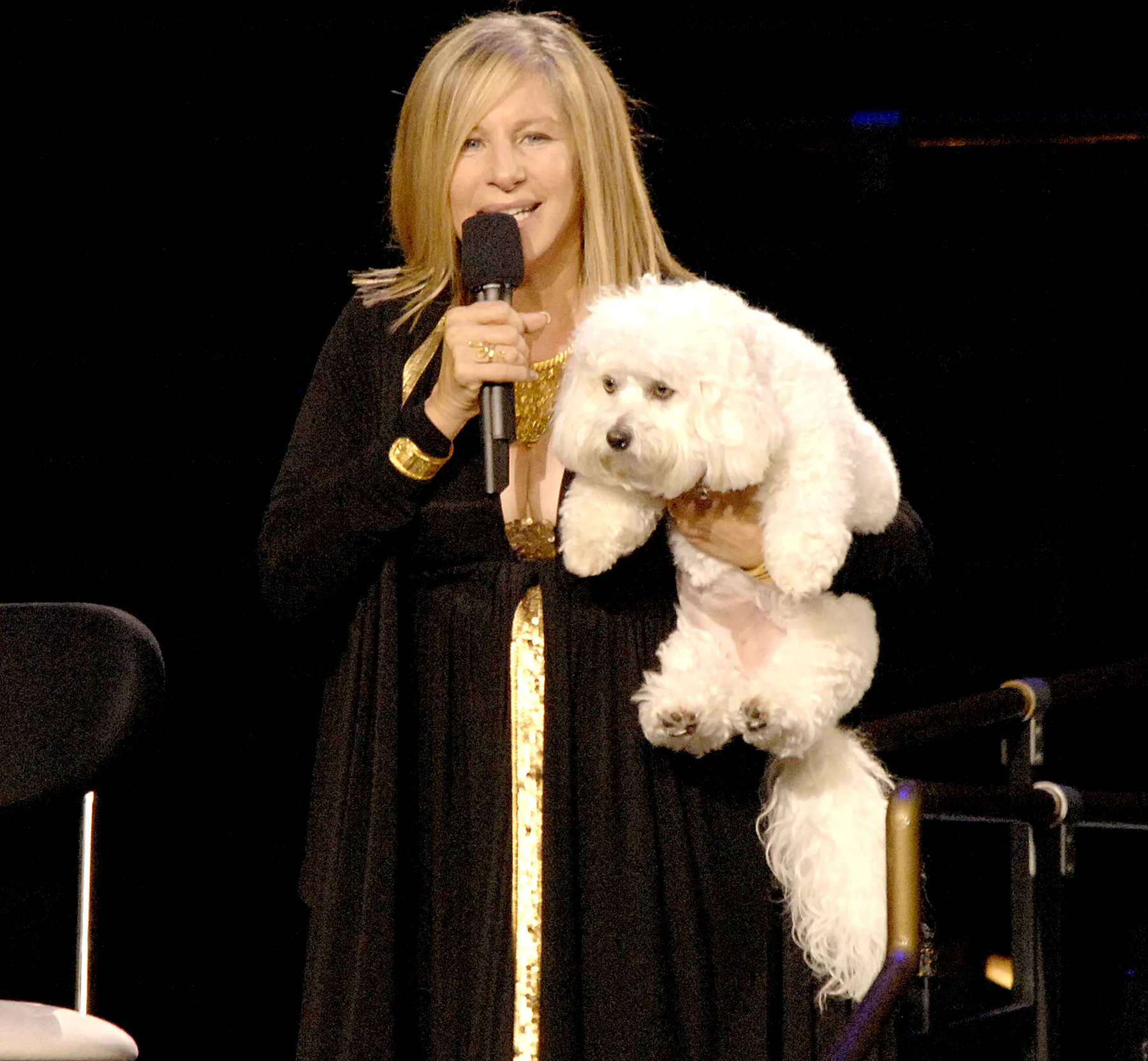 Barbra-Streisand-and-sammie clone