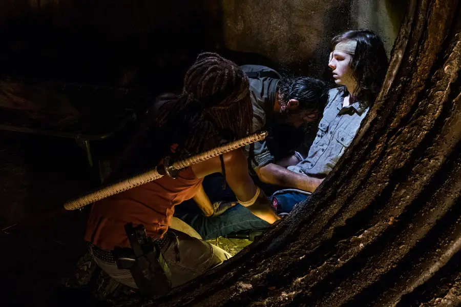 walking dead carl annoying