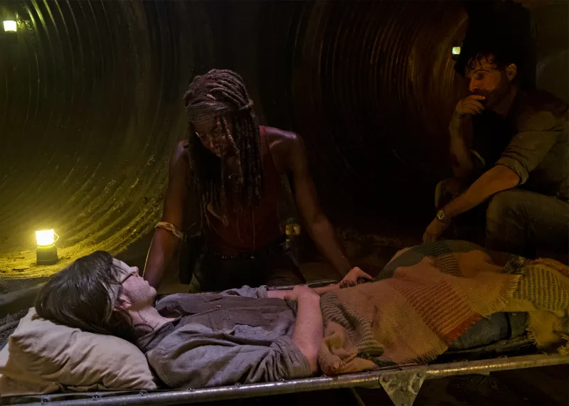 Chandler Riggs, Danai Gurira and Andrew Lincoln