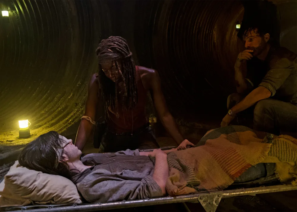 Chandler Riggs, Danai Gurira and Andrew Lincoln