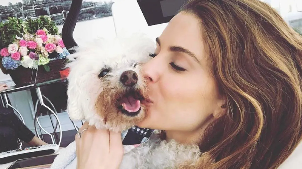 Maria Menounos baby dog