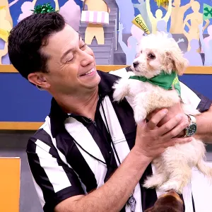 Puppy Bowl XIV