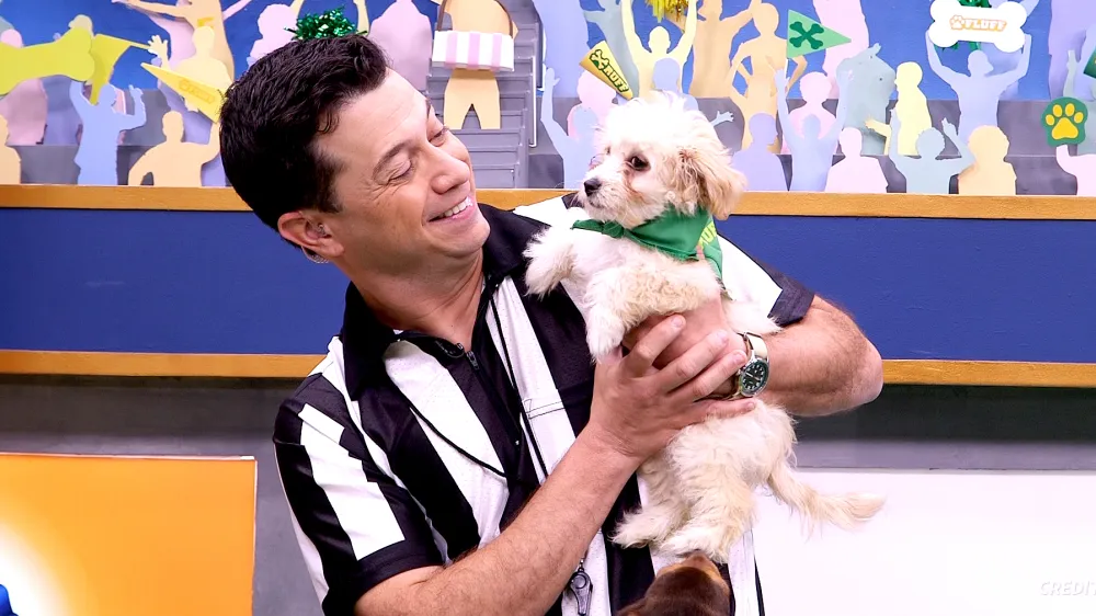 Puppy Bowl XIV
