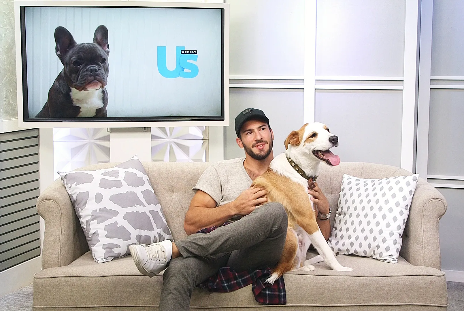 Steve Gold dog Pablo