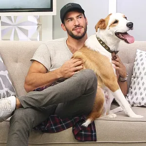 Steve Gold dog Pablo