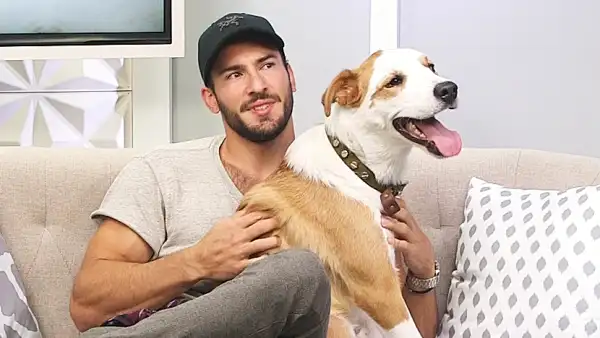 Steve Gold dog Pablo