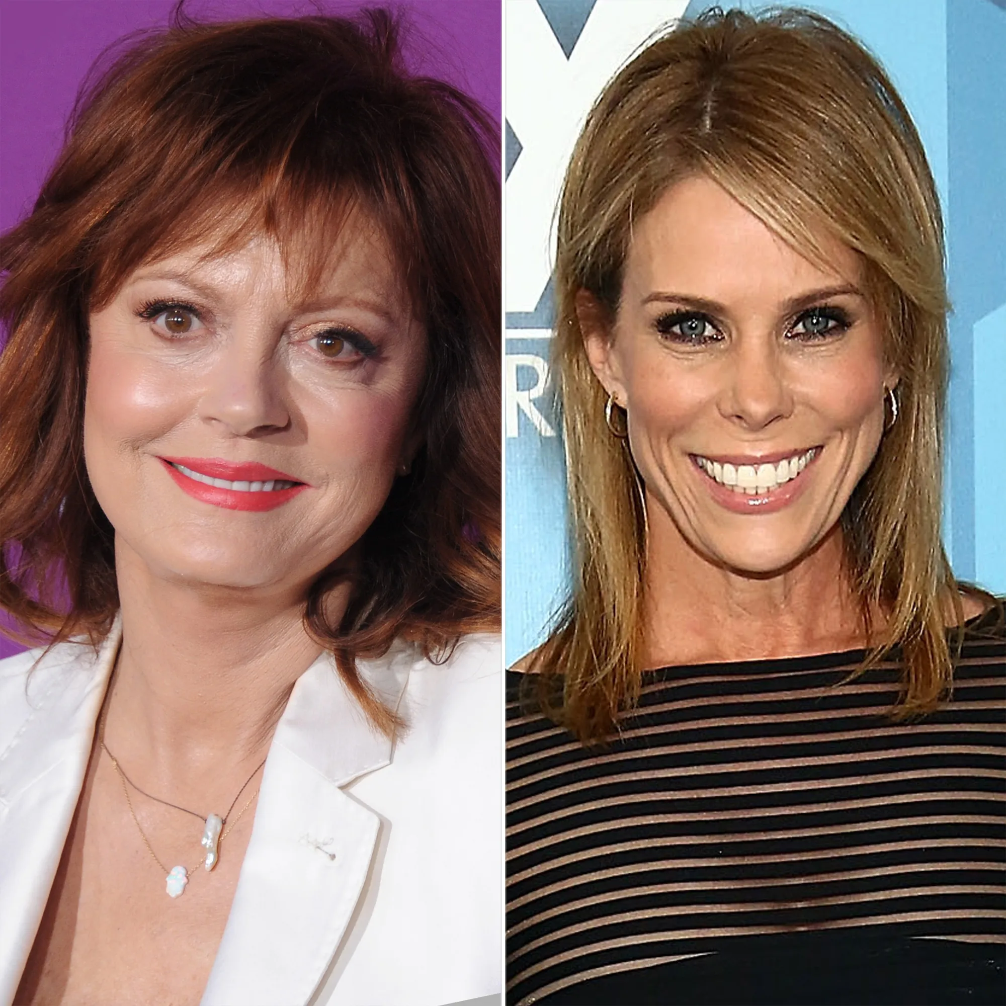 susan-sarandon-cheryl-hines