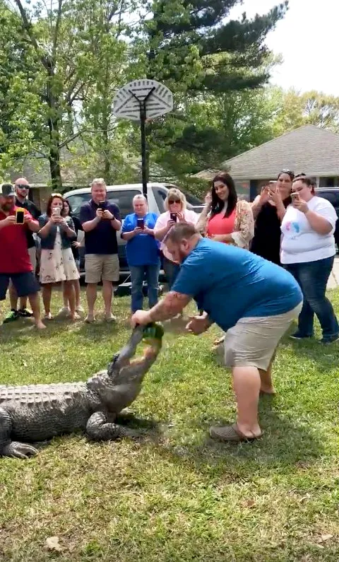 Alligator Gender Reveal Melody Kliebert Mike Kliebert
