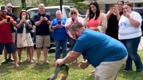 Alligator Gender Reveal Melody Kliebert Mike Kliebert