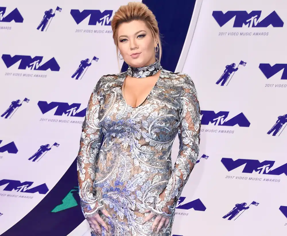 amber-portwood-custody