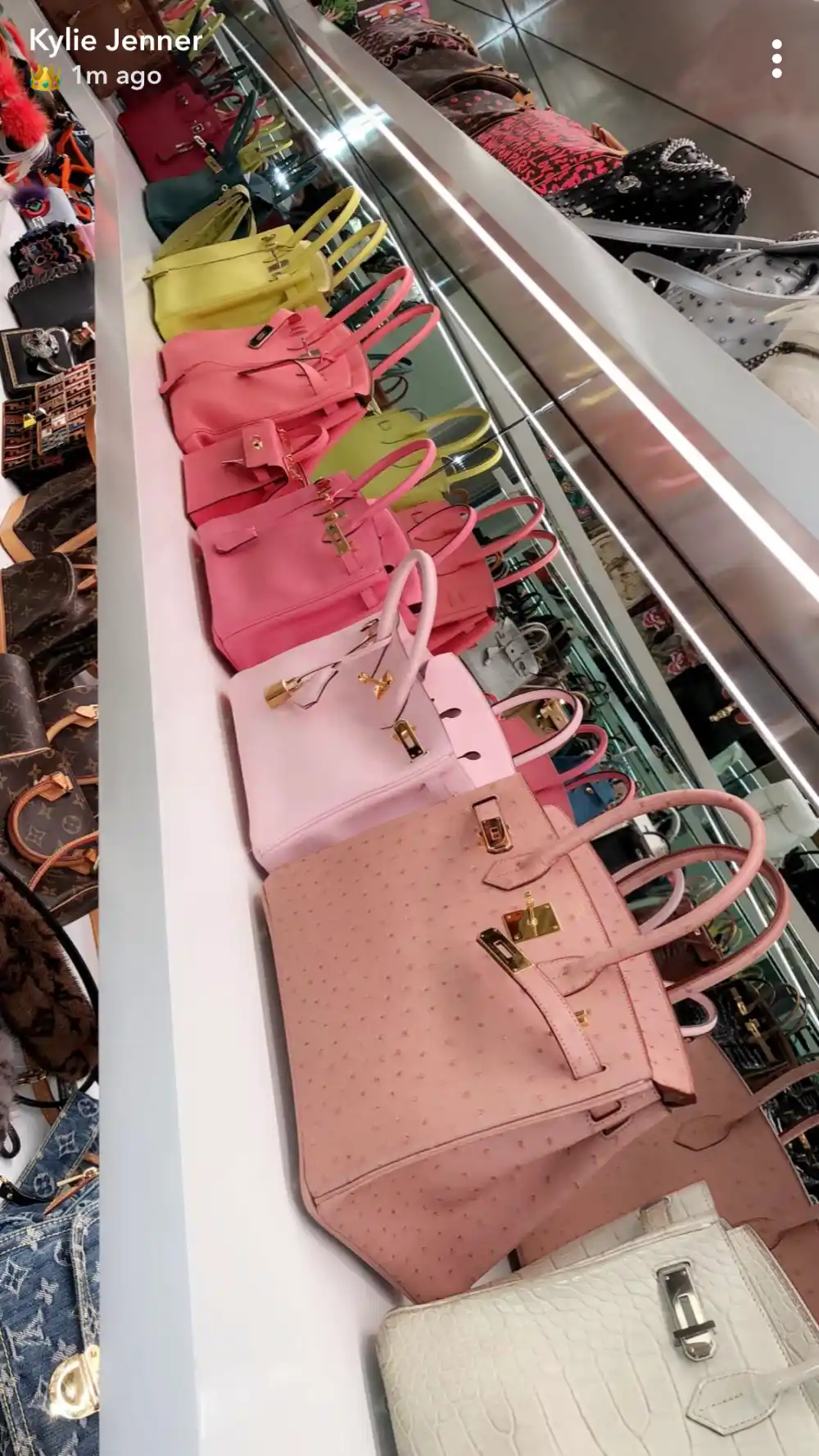 Kylie Jenner Birkin bags