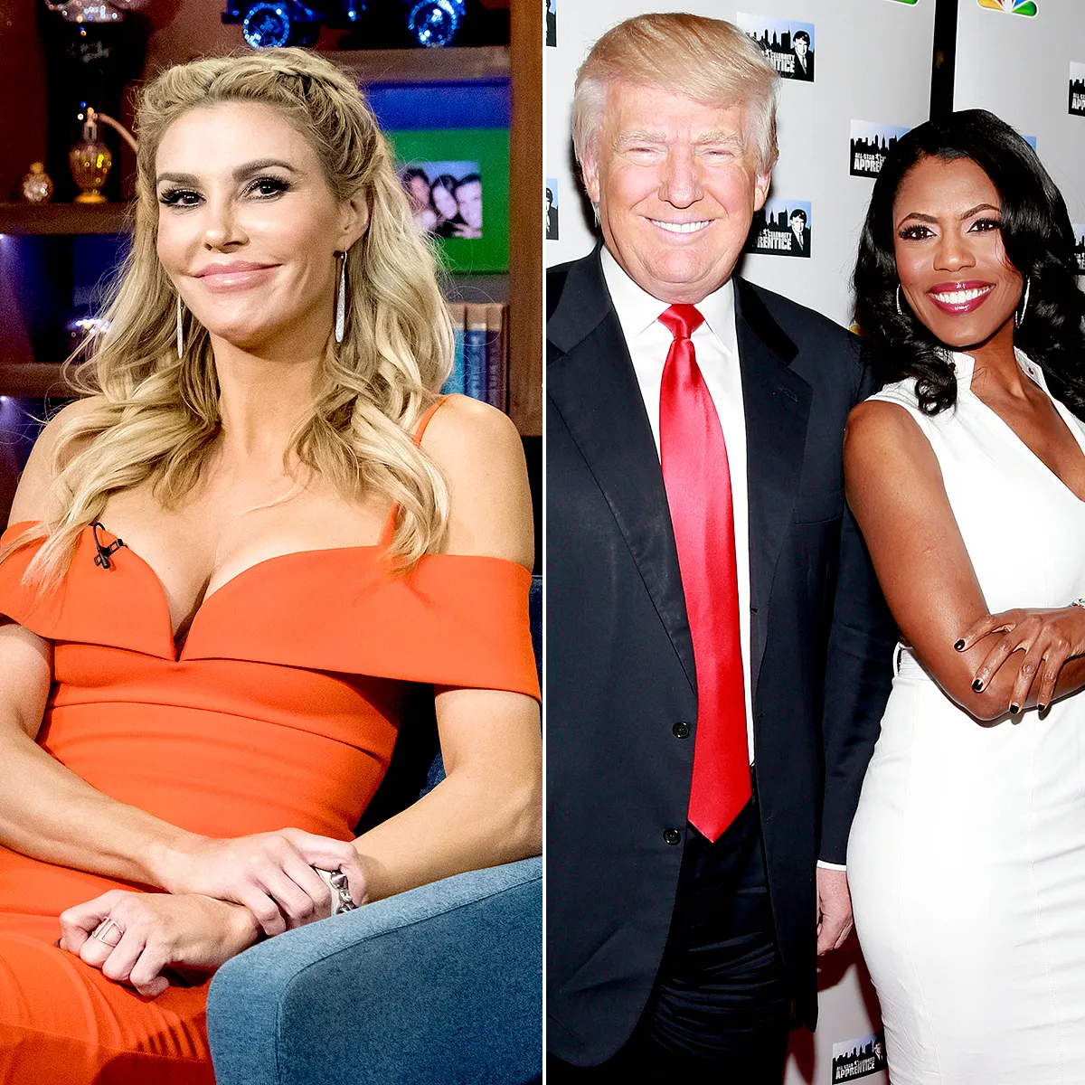 Brandi-Glanville-Convinced-Omarosa-Slept-With-Donald-Trump
