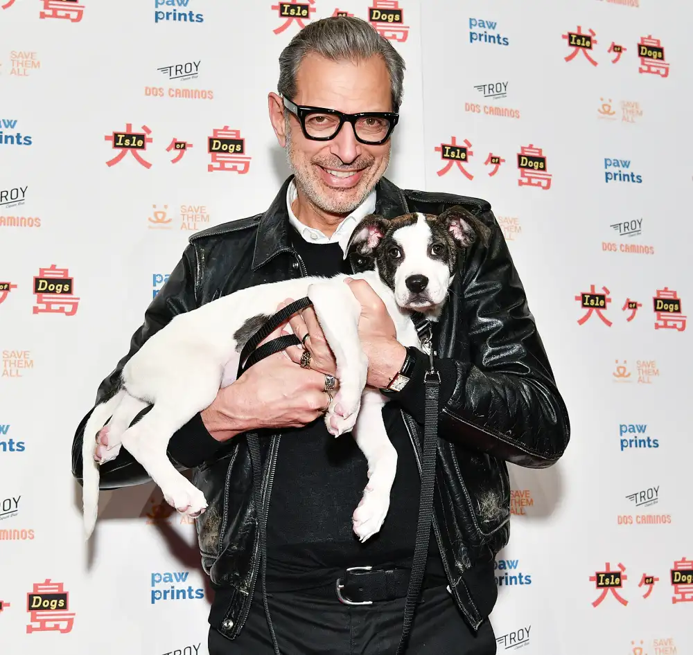 Jeff Goldblum Opens Up About Being an Older Dad