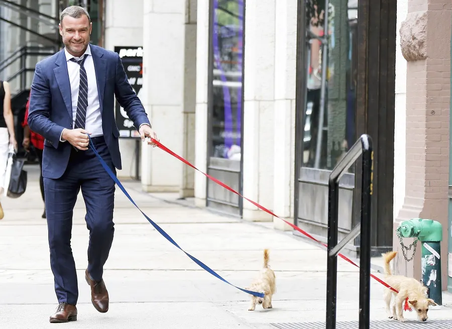 Liev Schreiber puppies