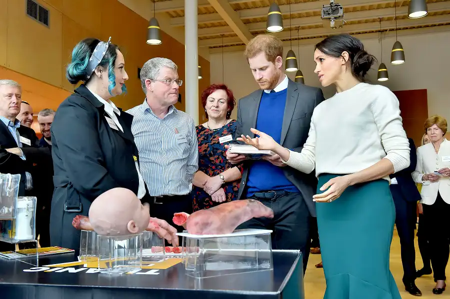 meghan-markle-prince-harry-ireland