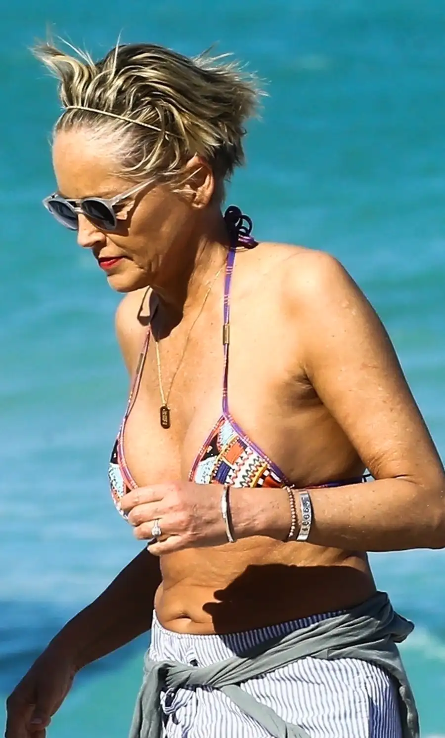 David DeLuise Sharon Stone bikini engaged