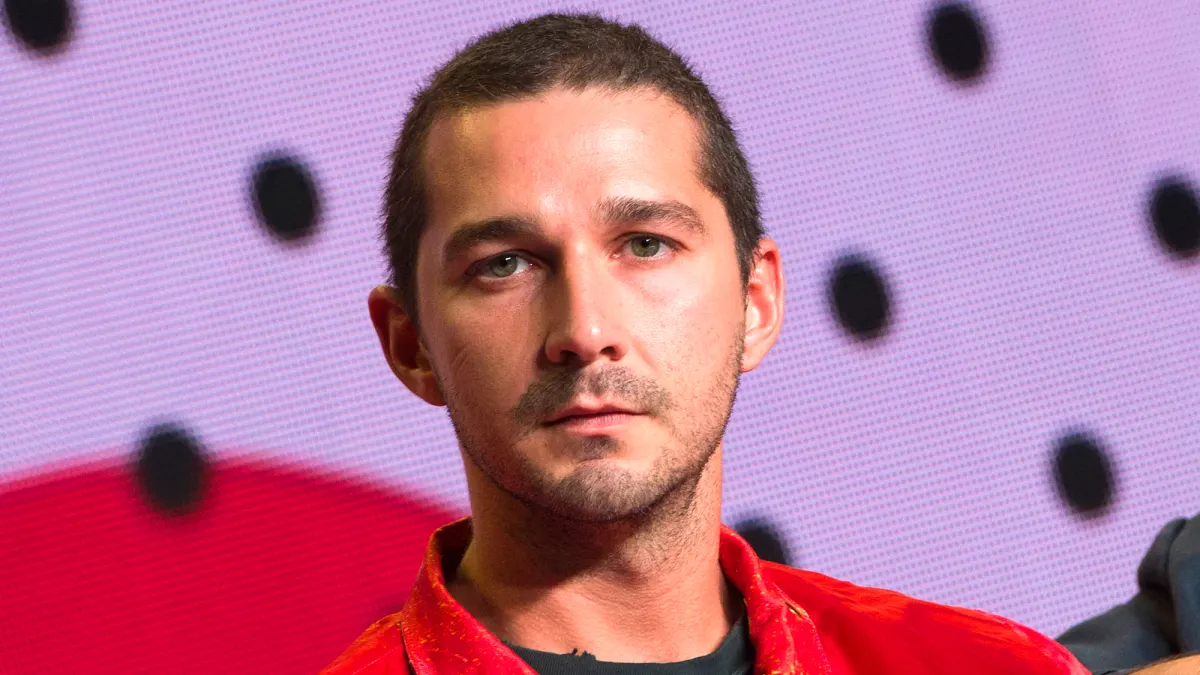 Shia LaBeouf arrest i fucked up