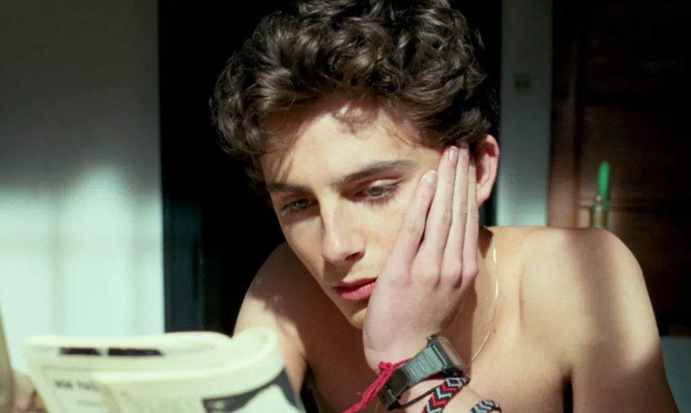 Timothee Chalamet in Call Me By Your Name