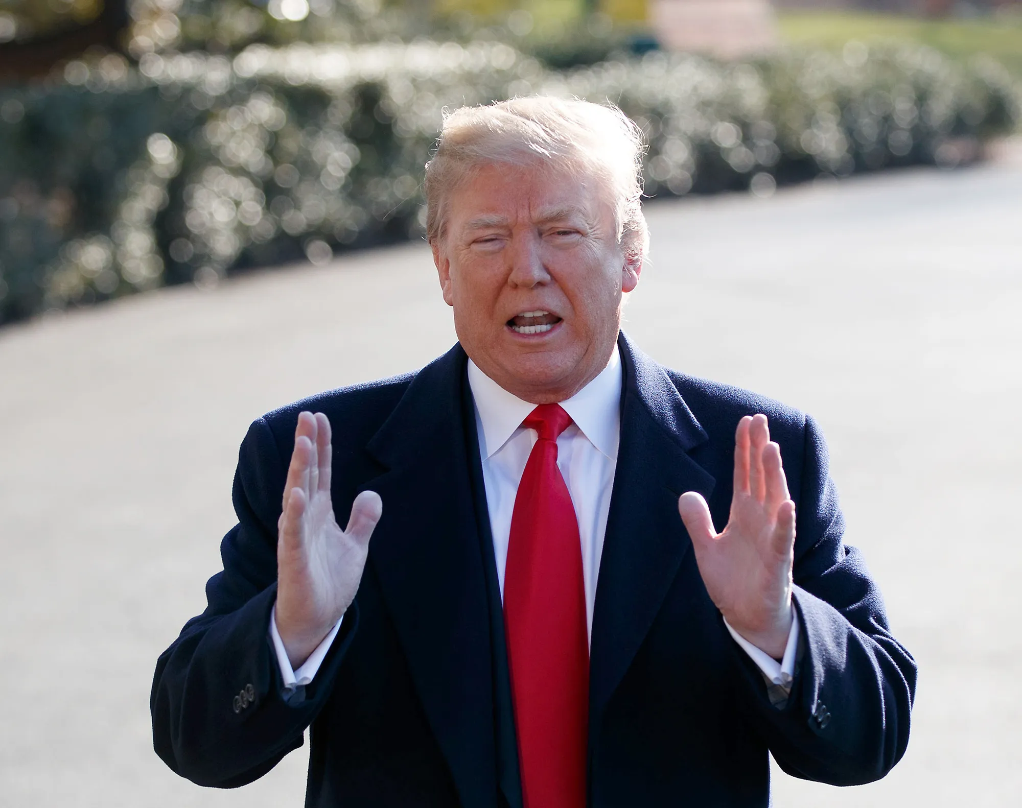 donald trump wall border