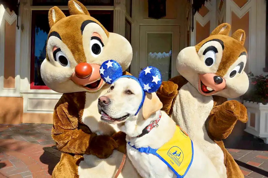 Canine Companions for Independence Disneyland