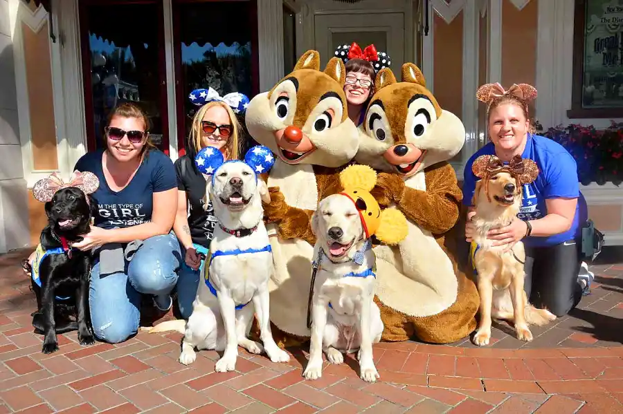 Canine Companions for Independence Disneyland