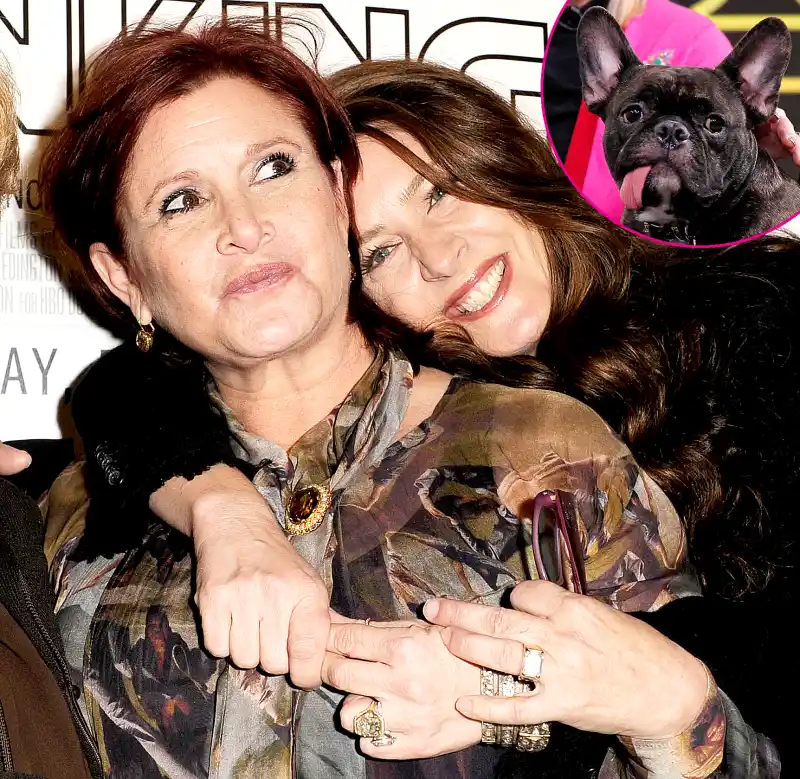Carrie-Fisher-and-Joely-Fisher-dog-promo