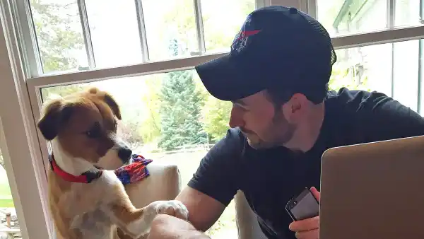 Chris Evans rescue dog