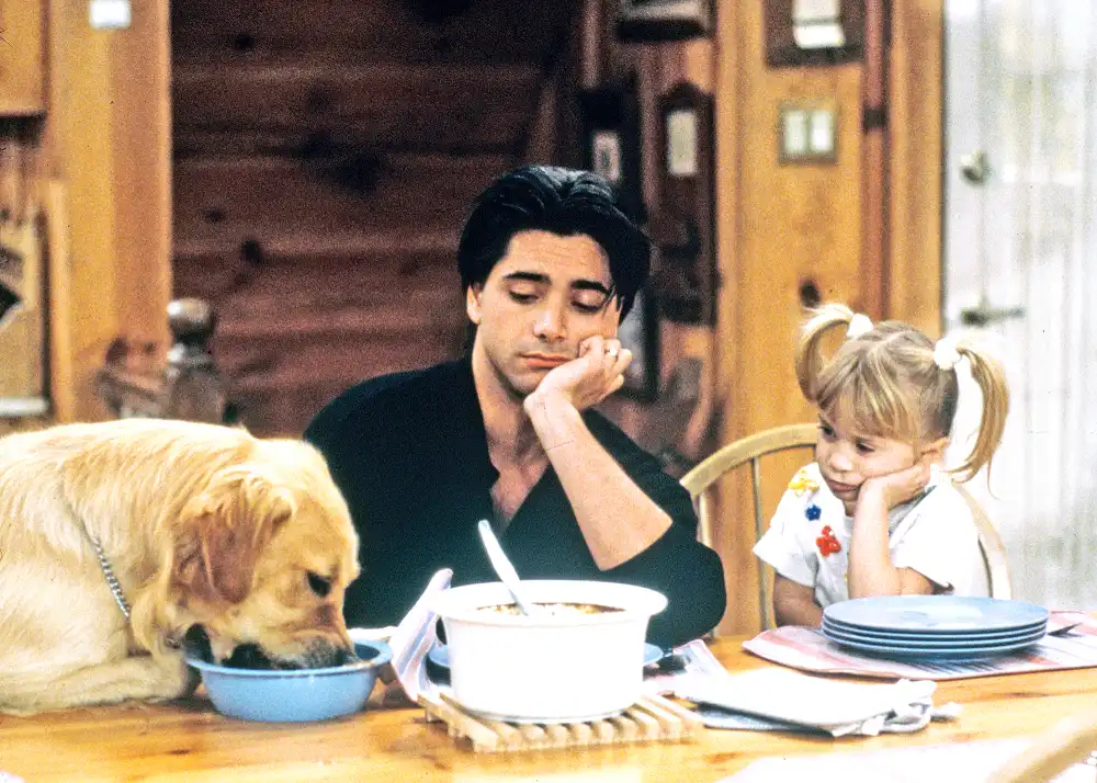 Comet Full House best tv pets