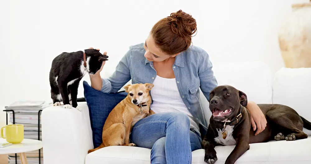 dogs-and-cats-with-ids