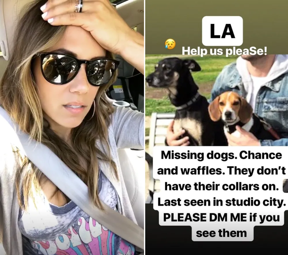 jana-kramer-missing-dogs