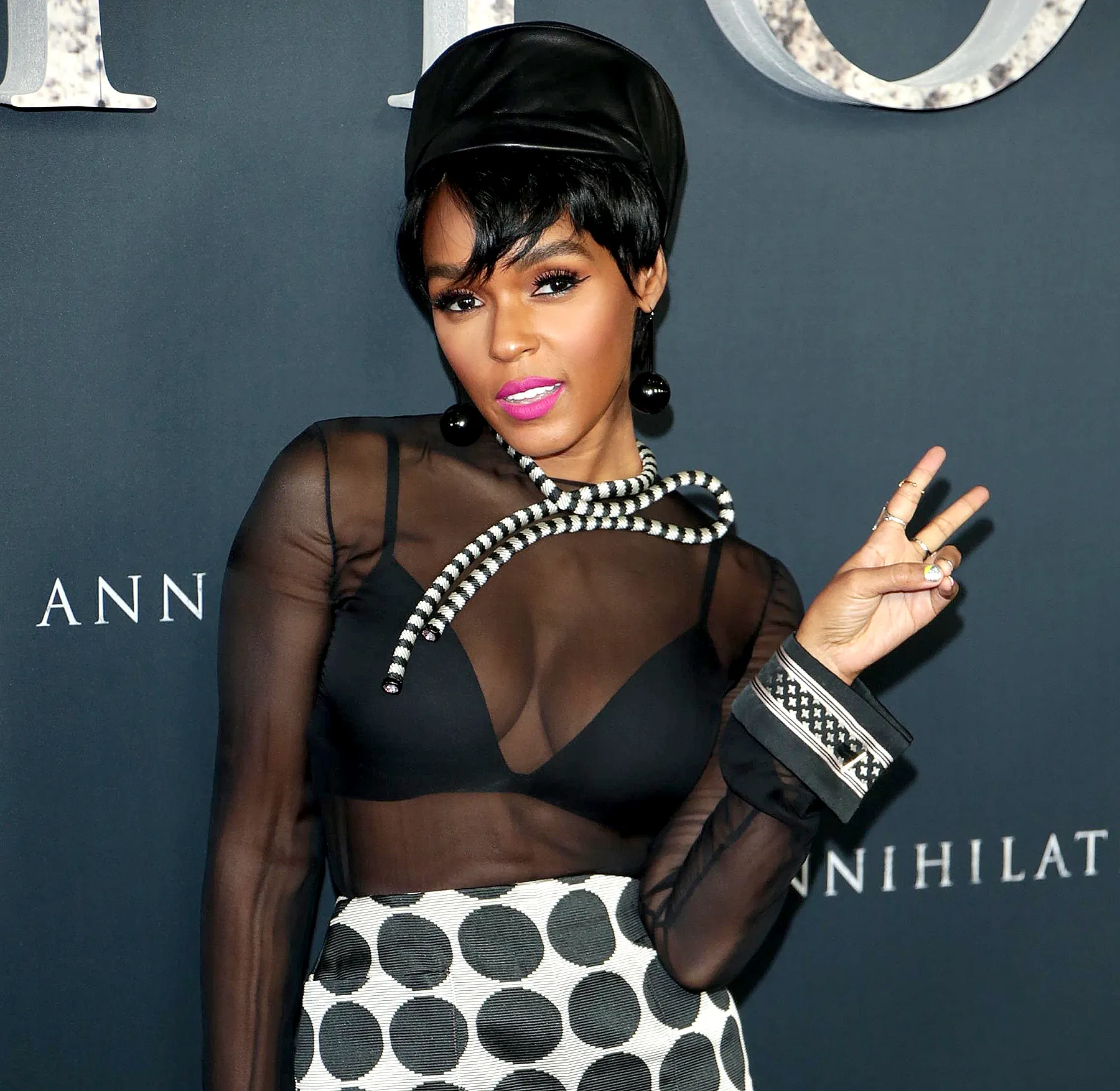 Janelle-Monae-pansexual