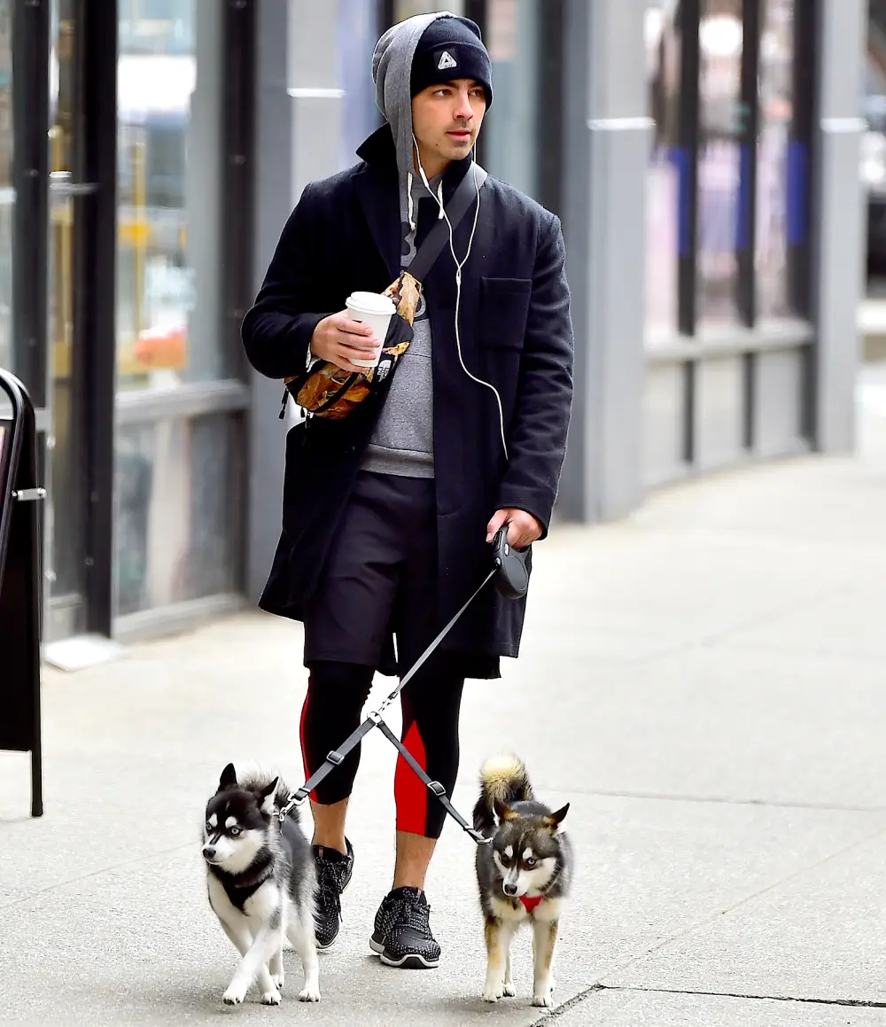 joe-jonas-adopts-dog