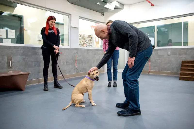 Patrick Stewart-and-Holly