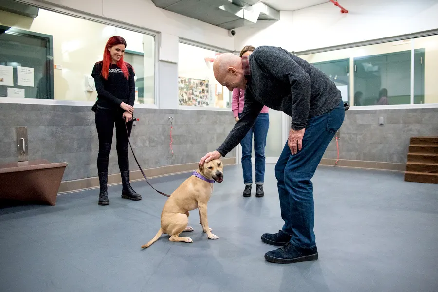 Patrick Stewart-and-Holly