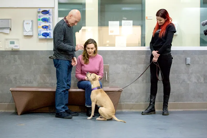 Patrick Stewart-and-Holly2