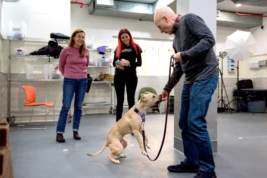 Patrick Stewart-and-Holly3