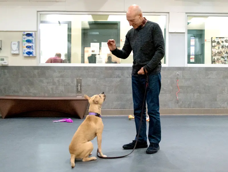 Patrick Stewart-and-Holly4