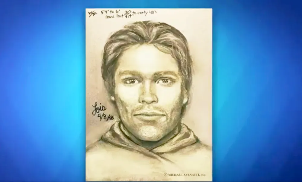 Stormy Daniels Sketch The View