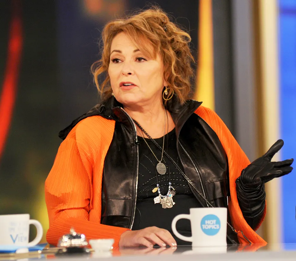 Roseanne Barr on &lsquo;The View&lsquo;