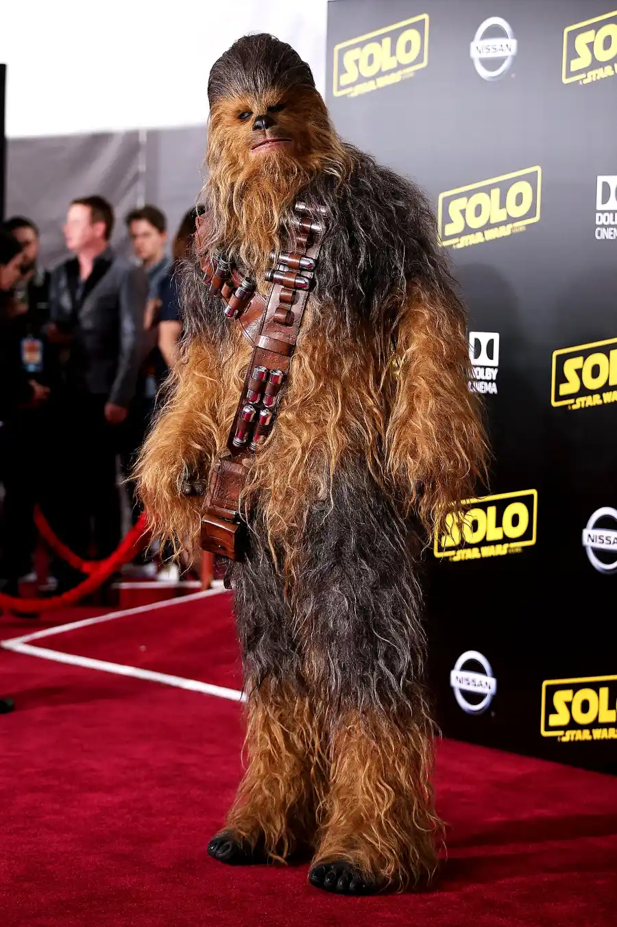 Chewbacca