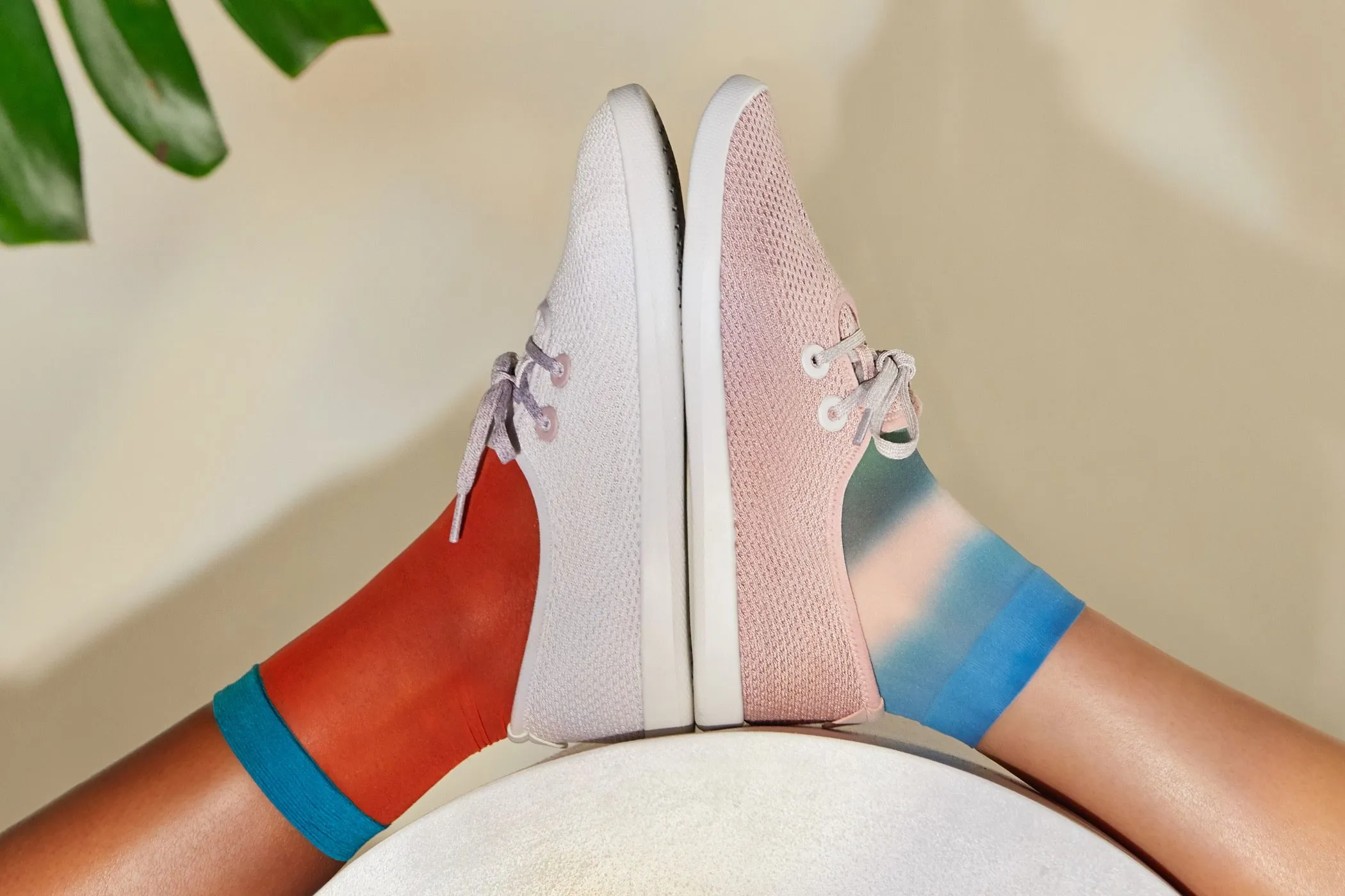 All Birds Nordstrom Pop In