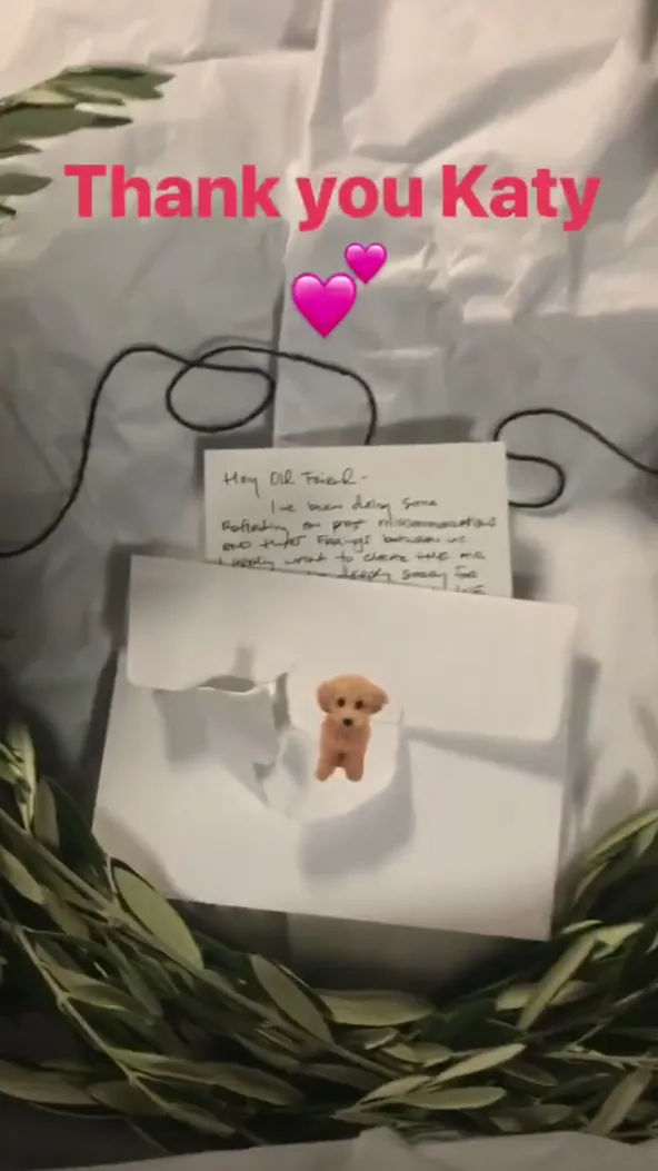 Katy Perry sends an olive branch to Taylor Swift