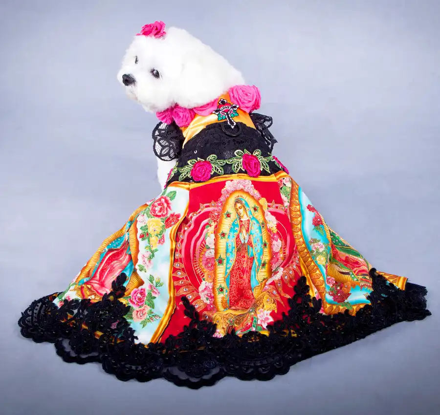 Met Gala Dog Anthony Rubio