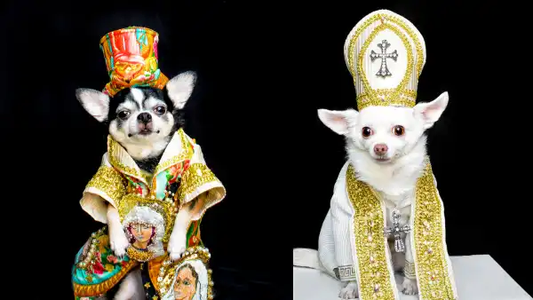 Met Gala Dogs Anthony Rubio