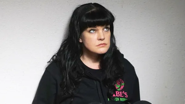 Pauley-Perrette-assaulted