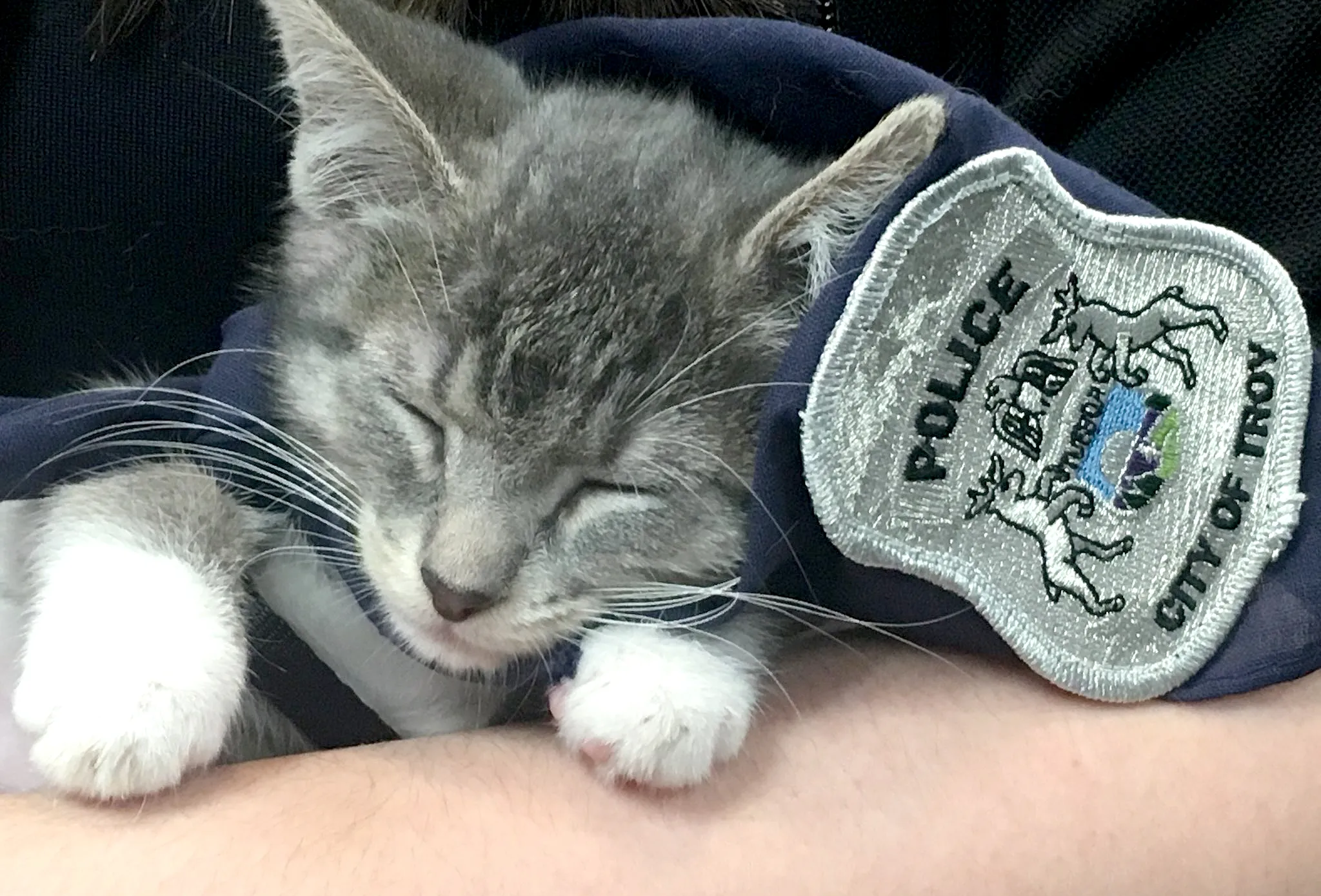 Pawfficer-Donut