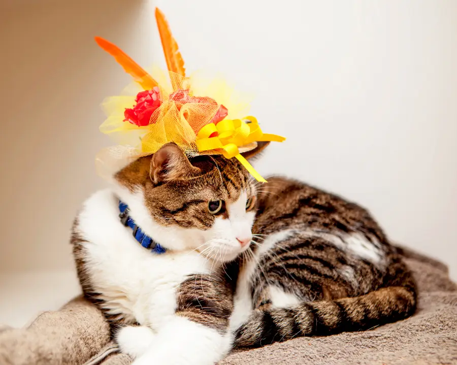 Pinky Royal Wedding Cats in Fascinators Gallery