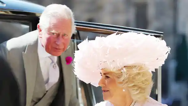 Prince Charles Camilla Royal Wedding